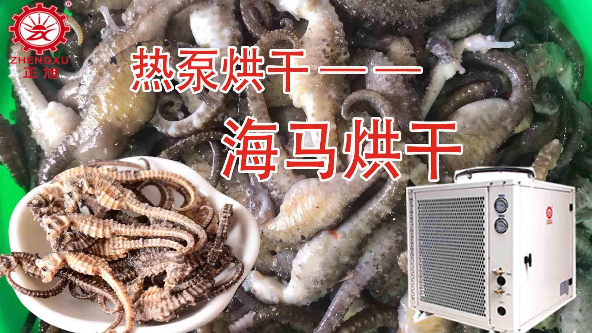 海馬熱泵烘干方法詳解（含研粉、清洗、宰殺、烘干時間）
